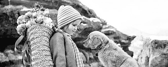 🖤&🤍BLACK&WHITE📸PHOTOGRAPHY banner