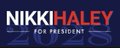 Team Nikki Haley 2028 banner
