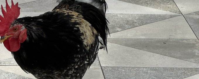 Unfiltered Founders banner