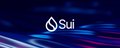 SUI COMMUNITY 💙 banner