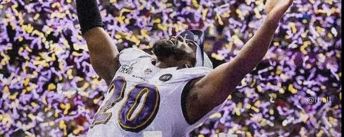 Ravens Flock 🐦‍⬛ banner