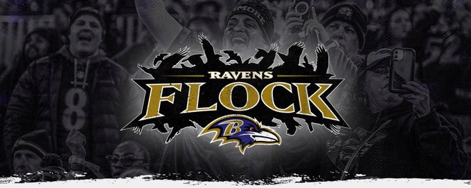 Ravens Flock 🐦‍⬛ banner