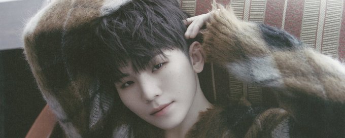woozi enjoyers banner