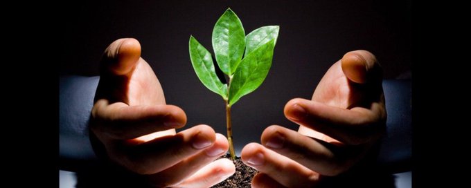 Motivational Mindset Matters banner