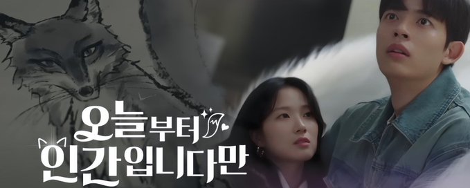 NO TAIL TO TELL (HFT) 🦊⚽️ banner