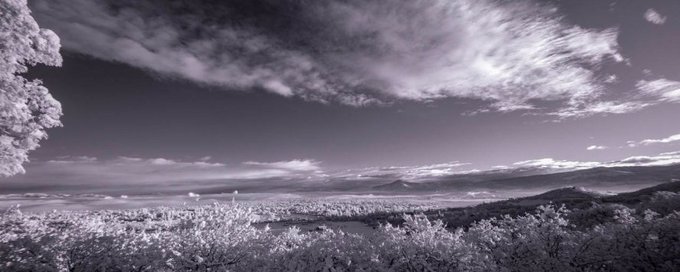 Off Grid Bliss banner