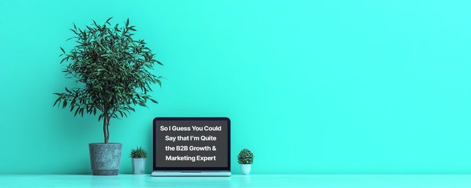 B2B Growth & Marketing Insider banner