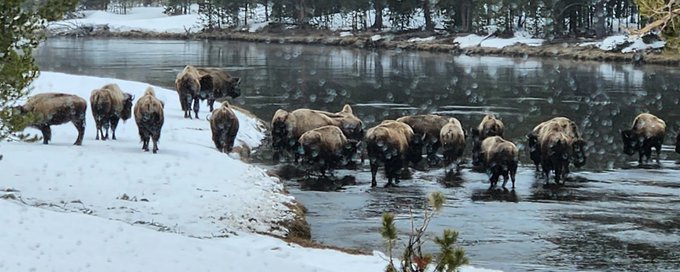 America the Beautiful 🇺🇲 banner