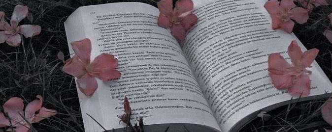 booktwt📚(zionist free) banner