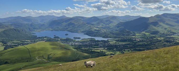 today i walked… banner