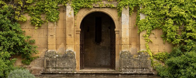 Daily Dose of Doors banner