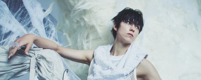 vernon fans / dollys banner