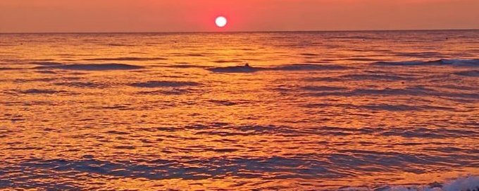 Nature lovers 🌅😻🌹🐶🌊☀️ banner