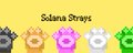Solana Strays banner