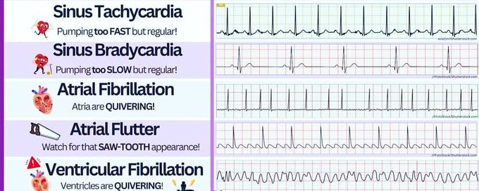 Doctors Guild banner