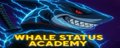 Whale Status Academy banner