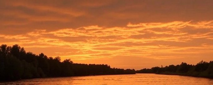 Ivermectin, Fenben for Cancer banner