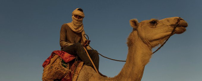 NFT Photography banner