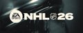 NHL HUT banner