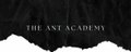The Ant Academy - Education banner