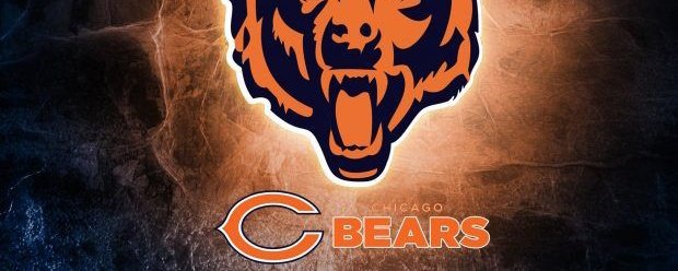 Chicago Bears Fans banner