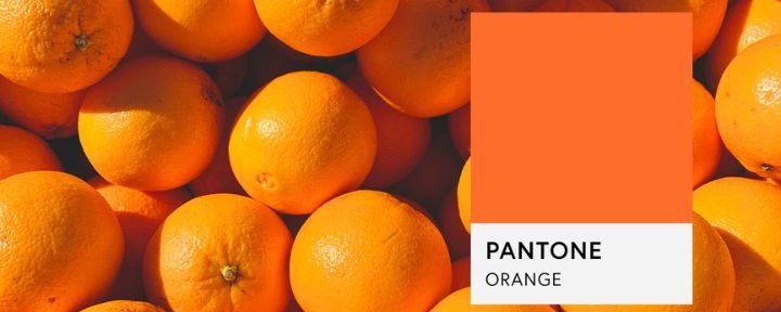 6th element. Create w/ purpose