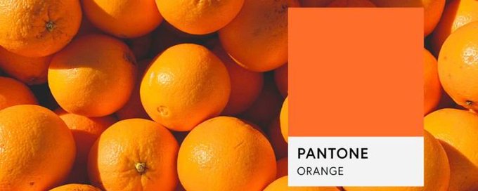 6th element. Create w/ purpose banner