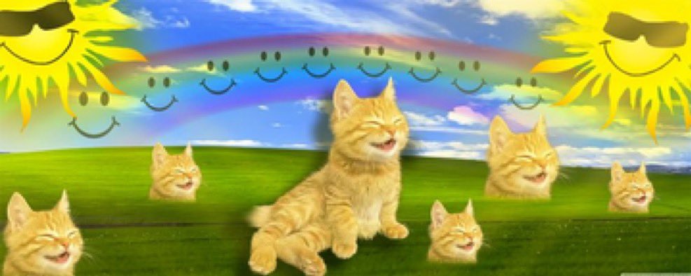 ♡Cat♡ 🐈‍⬛ 🐈 (🐶🌈) on X: 