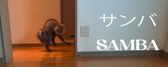 即購入okページ (8月VIP 15%off中） nonnonです❣️802 tenten on X: 