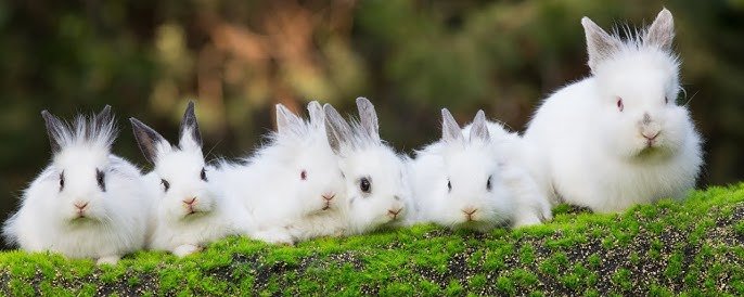 あこちゃんページ 🤫💘