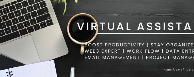 Virtual Assistant Academy banner