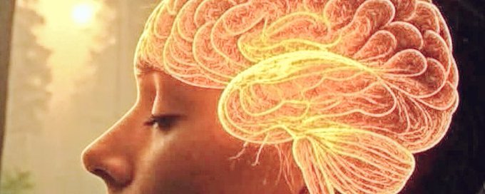 Neuroplasticity banner