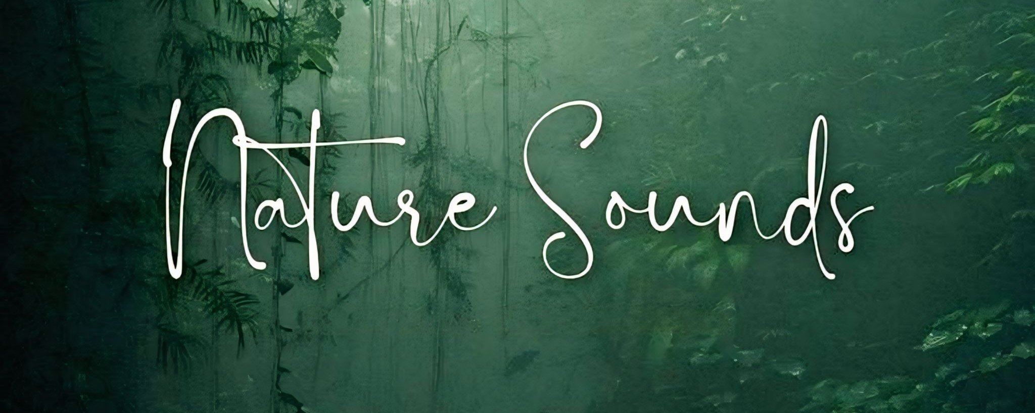 Nature Sounds