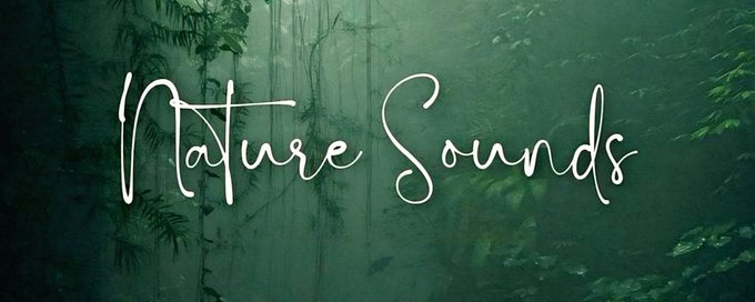 Nature Sounds banner