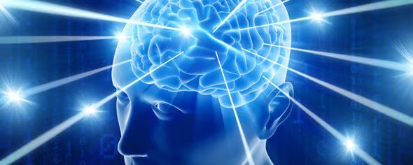 Knowledge Maxis banner