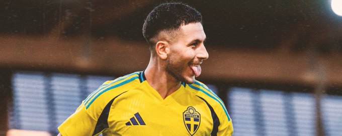 Roony Bardghji banner