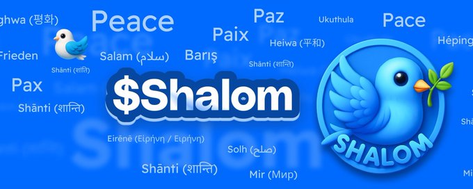 The Shalom 🕊️ Army banner