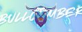 BULLCEMBER banner
