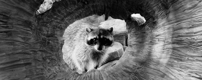 iPhone Underground(Pic & Vid) banner