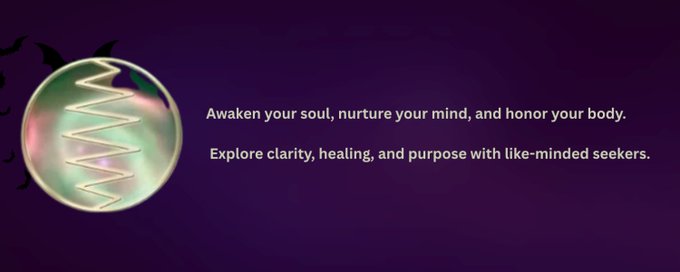 The Human Light Project. banner