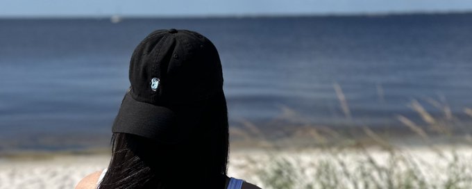 Gopher Chatter banner