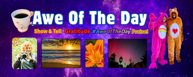Awe Of The Day & Why! banner