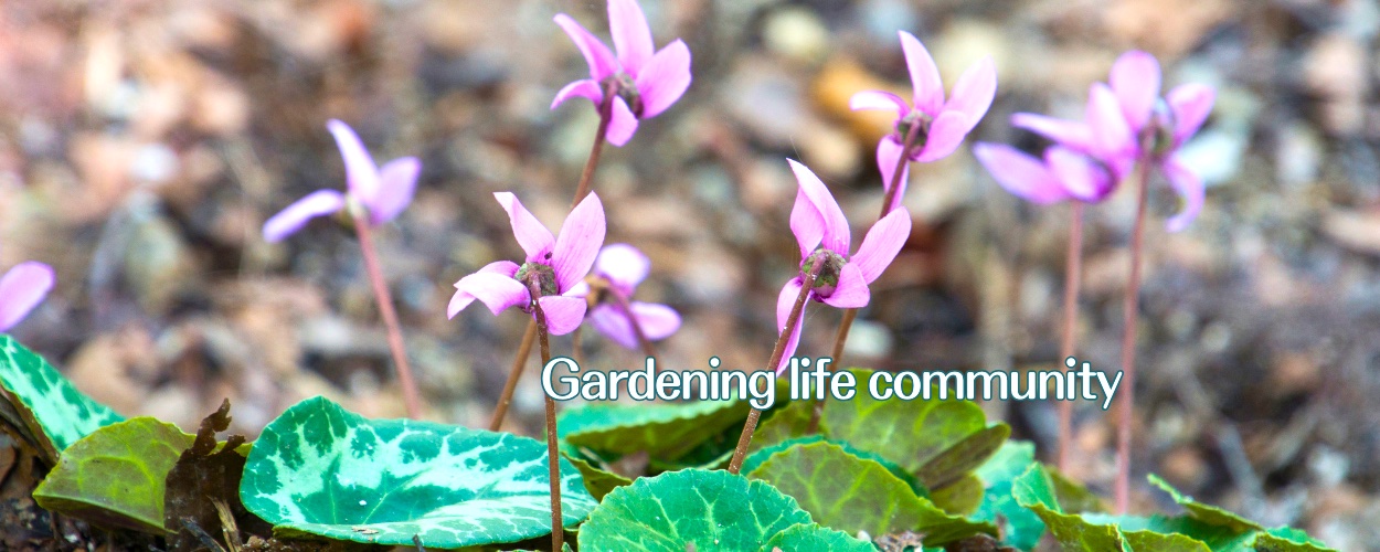 趣味の園芸コミュニティ Community on X - 85 Members