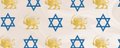 Iran–Israel Alliance Network banner