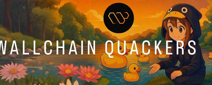 WALLCHAIN-QUACKERS banner
