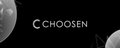 Choosen Systems banner