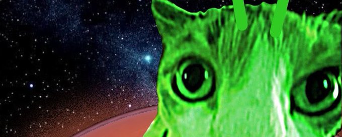 Rosi’s Buds banner