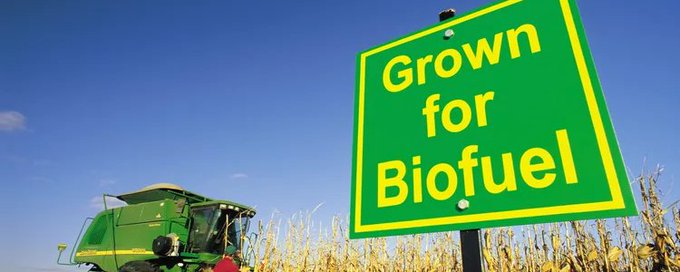 Biofuel Markets ♻️⛽️ banner