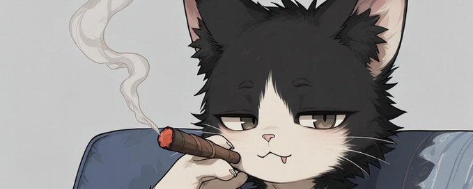 Curious Cats Club 😺 banner