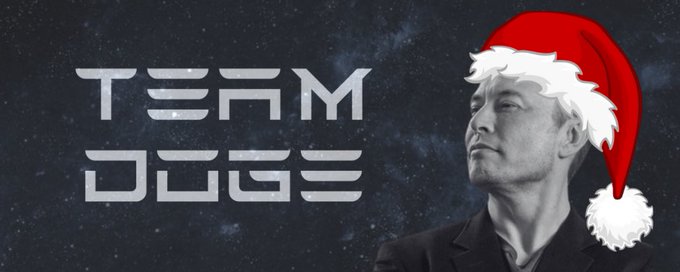 DOGE | Dept of Govt Efficiency banner